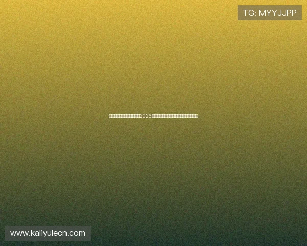 新利真人体育网站深度解析2026世界杯热门球队战术策略与明星球员表现
